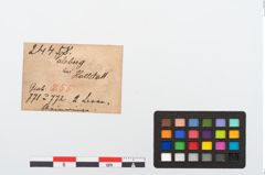Etikett zu Bernsteinring (NHMW-PRAE-024458)